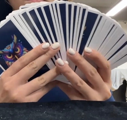 Jeu de 54 cartes : L'épopée des Empires